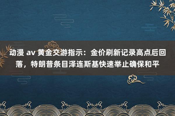 动漫 av 黄金交游指示：金价刷新记录高点后回落，特朗普条目泽连斯基快速举止确保和平