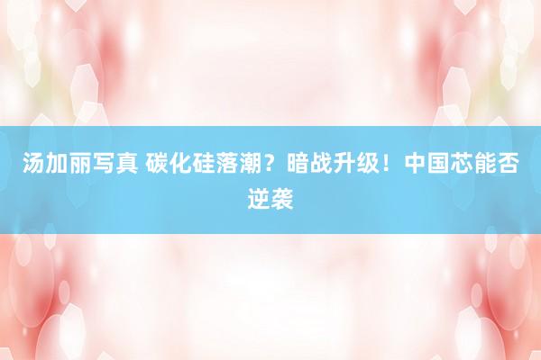 汤加丽写真 碳化硅落潮？暗战升级！中国芯能否逆袭