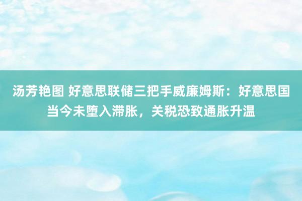 汤芳艳图 好意思联储三把手威廉姆斯：好意思国当今未堕入滞胀，关税恐致通胀升温