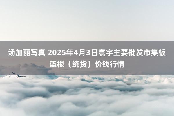 汤加丽写真 2025年4月3日寰宇主要批发市集板蓝根（统货）价钱行情