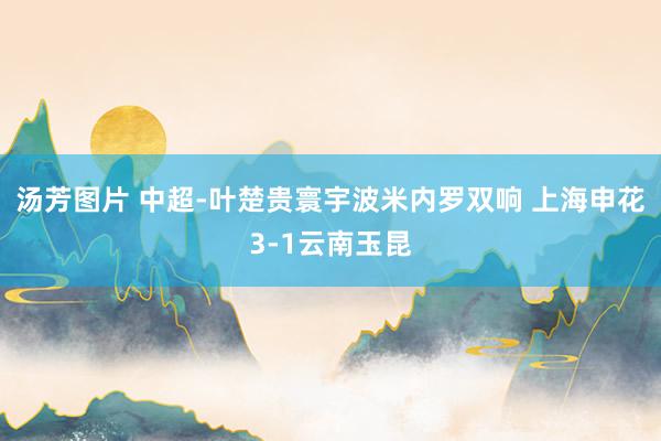 汤芳图片 中超-叶楚贵寰宇波米内罗双响 上海申花3-1云南玉昆