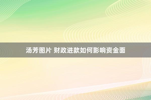 汤芳图片 财政进款如何影响资金面