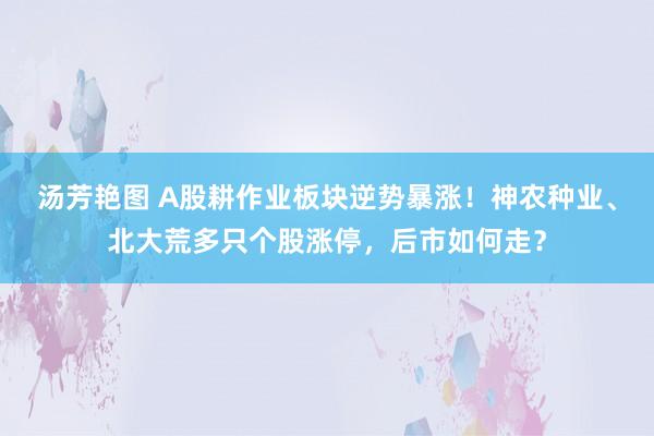 汤芳艳图 A股耕作业板块逆势暴涨！神农种业、北大荒多只个股涨停，后市如何走？