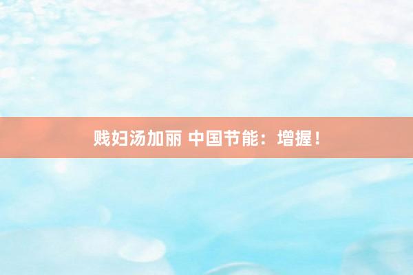 贱妇汤加丽 中国节能：增握！