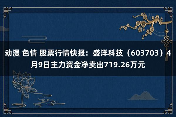 动漫 色情 股票行情快报：盛洋科技（603703）4月9日主力资金净卖出719.26万元
