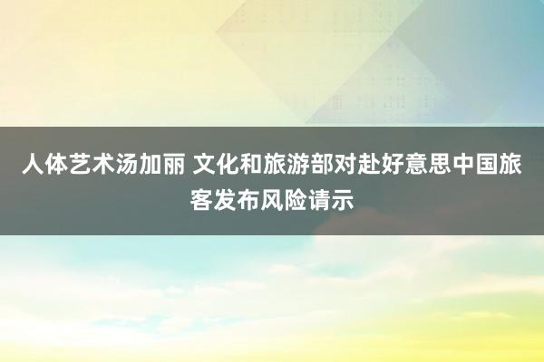 人体艺术汤加丽 文化和旅游部对赴好意思中国旅客发布风险请示