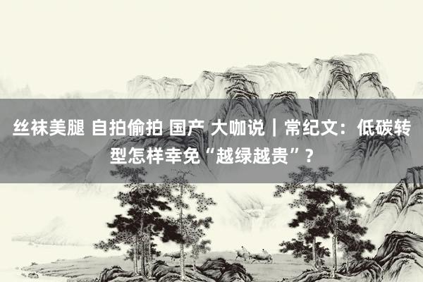 丝袜美腿 自拍偷拍 国产 大咖说｜常纪文：低碳转型怎样幸免“越绿越贵”？
