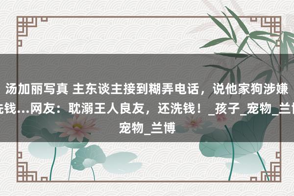 汤加丽写真 主东谈主接到糊弄电话，说他家狗涉嫌洗钱...网友：耽溺王人良友，还洗钱！_孩子_宠物_兰博