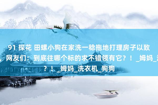 91 探花 田螺小狗在家洗一稔拖地打理房子以致还给猫喂食，网友们：到底往哪个标的求不错领有它？！_姆妈_洗衣机_狗狗