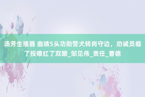 汤芳生殖器 曲靖5头功勋警犬转岗守边，劝诫员临了投喂红了双眼_邹见伟_责任_曹德