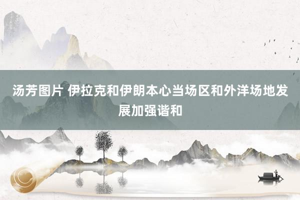 汤芳图片 伊拉克和伊朗本心当场区和外洋场地发展加强谐和