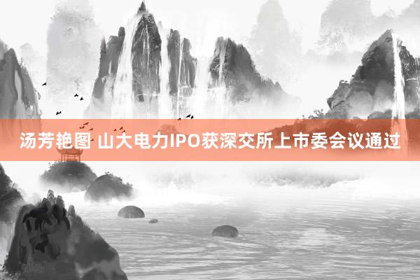 汤芳艳图 山大电力IPO获深交所上市委会议通过