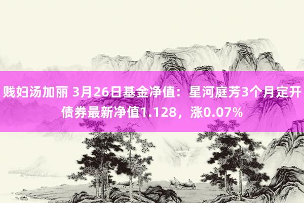 贱妇汤加丽 3月26日基金净值：星河庭芳3个月定开债券最新净值1.128，涨0.07%