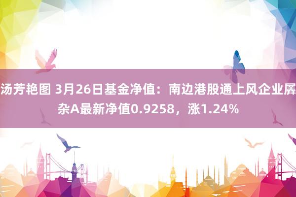 汤芳艳图 3月26日基金净值：南边港股通上风企业羼杂A最新净值0.9258，涨1.24%