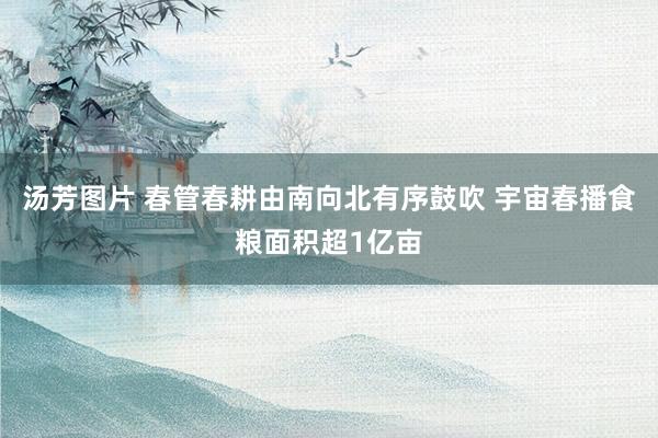 汤芳图片 春管春耕由南向北有序鼓吹 宇宙春播食粮面积超1亿亩