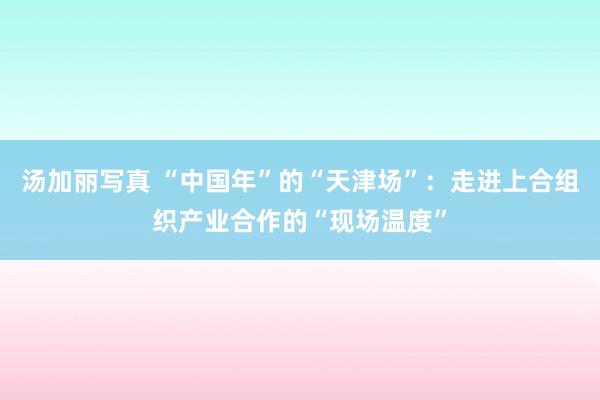 汤加丽写真 “中国年”的“天津场”：走进上合组织产业合作的“现场温度”
