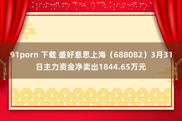 91porn 下载 盛好意思上海（688082）3月31日主力资金净卖出1844.65万元