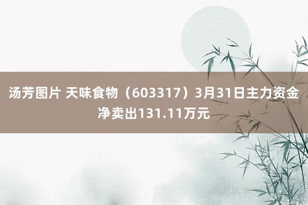 汤芳图片 天味食物（603317）3月31日主力资金净卖出131.11万元