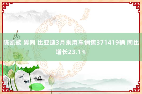 陈凯歌 男同 比亚迪3月乘用车销售371419辆 同比增长23.1%