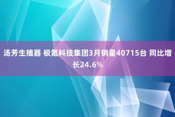 汤芳生殖器 极氪科技集团3月销量40715台 同比增长24.6%