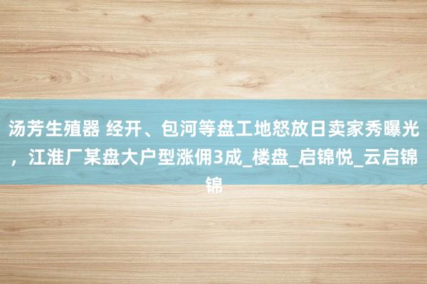 汤芳生殖器 经开、包河等盘工地怒放日卖家秀曝光，江淮厂某盘大户型涨佣3成_楼盘_启锦悦_云启锦