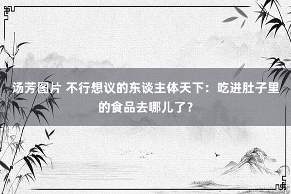 汤芳图片 不行想议的东谈主体天下：吃进肚子里的食品去哪儿了？