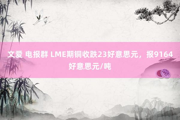 文爱 电报群 LME期铜收跌23好意思元，报9164好意思元/吨