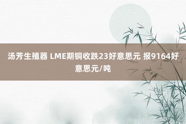 汤芳生殖器 LME期铜收跌23好意思元 报9164好意思元/吨