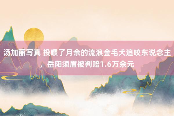 汤加丽写真 投喂了月余的流浪金毛犬追咬东说念主，岳阳须眉被判赔1.6万余元