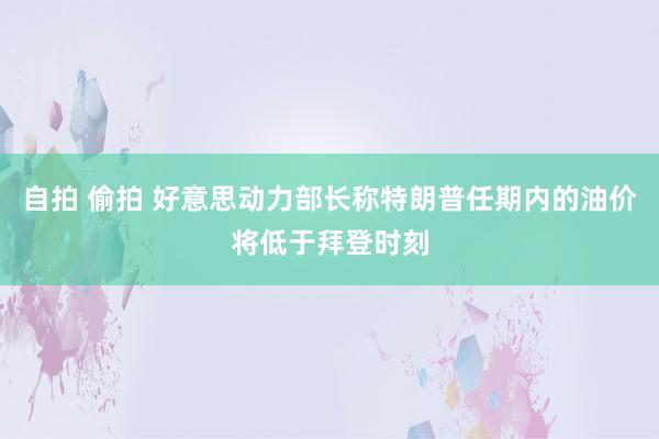 自拍 偷拍 好意思动力部长称特朗普任期内的油价将低于拜登时刻