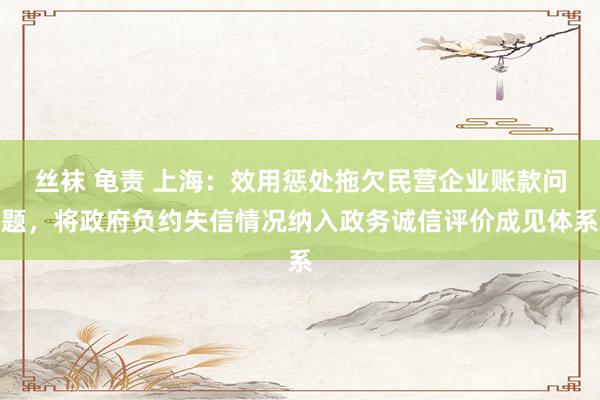 丝袜 龟责 上海：效用惩处拖欠民营企业账款问题，将政府负约失信情况纳入政务诚信评价成见体系