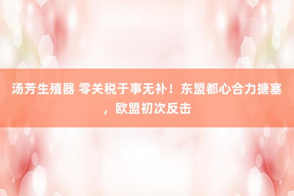 汤芳生殖器 零关税于事无补！东盟都心合力搪塞，欧盟初次反击