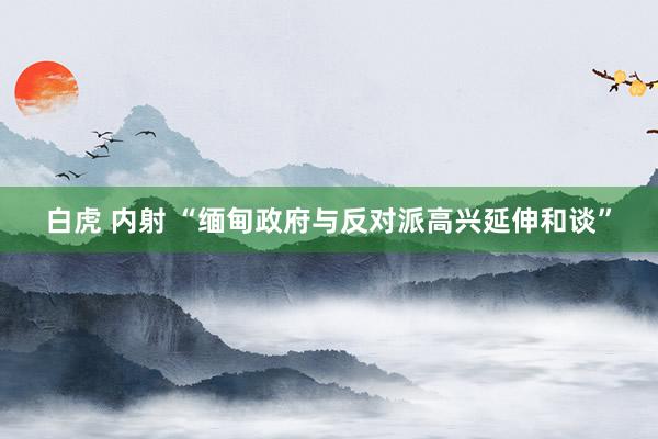 白虎 内射 “缅甸政府与反对派高兴延伸和谈”