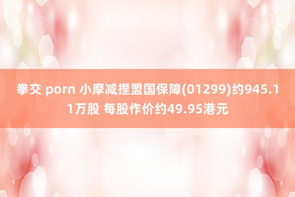 拳交 porn 小摩减捏盟国保障(01299)约945.11万股 每股作价约49.95港元
