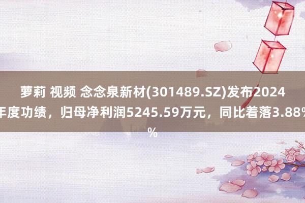 萝莉 视频 念念泉新材(301489.SZ)发布2024年度功绩，归母净利润5245.59万元，同比着落3.88%