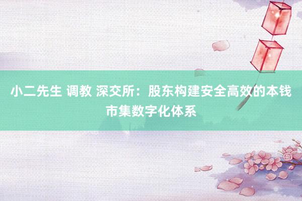 小二先生 调教 深交所：股东构建安全高效的本钱市集数字化体系