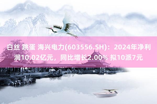 白丝 跳蛋 海兴电力(603556.SH)：2024年净利润10.02亿元，同比增长2.00% 拟10派7元