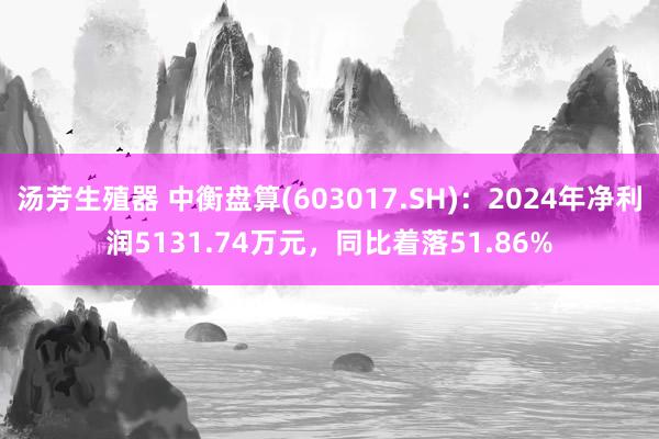 汤芳生殖器 中衡盘算(603017.SH)：2024年净利润5131.74万元，同比着落51.86%