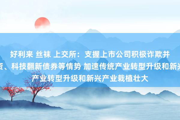 好利来 丝袜 上交所：支握上市公司积极诈欺并购重组、再融资、科技翻新债券等情势 加速传统产业转型升级和新兴产业栽植壮大