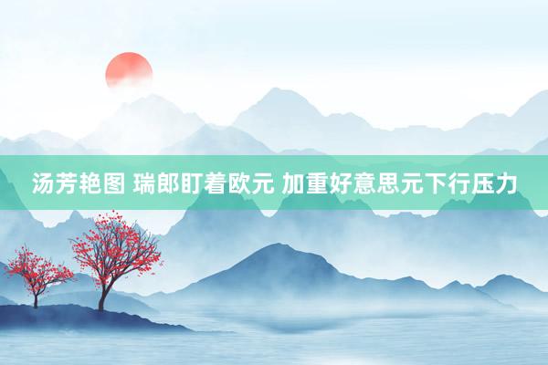 汤芳艳图 瑞郎盯着欧元 加重好意思元下行压力