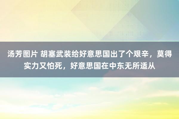汤芳图片 胡塞武装给好意思国出了个艰辛，莫得实力又怕死，好意思国在中东无所适从