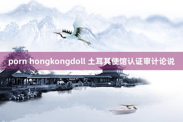 porn hongkongdoll 土耳其使馆认证审计论说