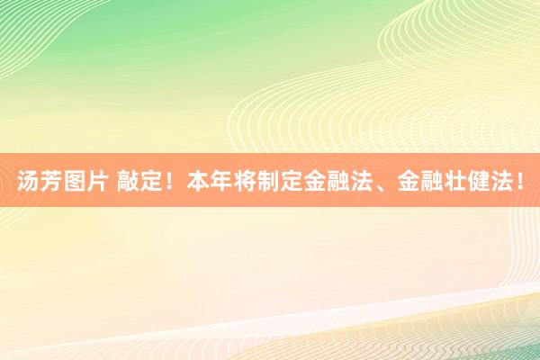 汤芳图片 敲定！本年将制定金融法、金融壮健法！