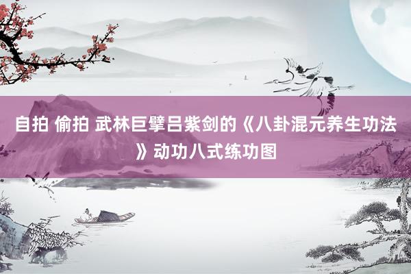 自拍 偷拍 武林巨擘吕紫剑的《八卦混元养生功法》动功八式练功图