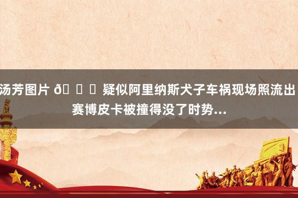 汤芳图片 🙏疑似阿里纳斯犬子车祸现场照流出 赛博皮卡被撞得没了时势...