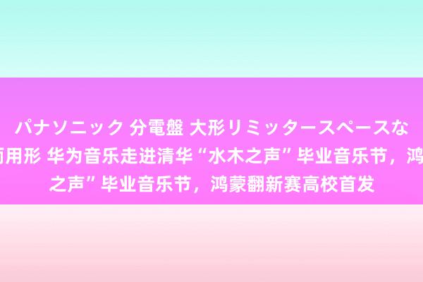 パナソニック 分電盤 大形リミッタースペースなし 露出・半埋込両用形 华为音乐走进清华“水木之声”毕业音乐节，鸿蒙翻新赛高校首发